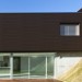 Фасадная панель из ДПК WOODVEX Венге купить в Великом Устюге