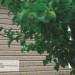 Сайдинг Ю-Пласт TIMBERBLOCK Пихта (Тимберблок) Cахалинская купить в Великом Устюге