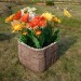 Цветник КАНЬОН купить в Великом Устюге