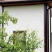Фасадная панель Grand Line Сланец молочный купить в Великом Устюге